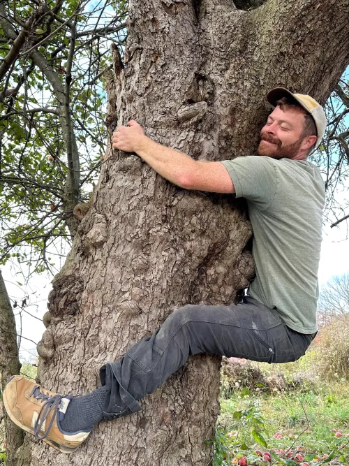 This old tree gave us some great apples this year 🍎 by back2natureboys