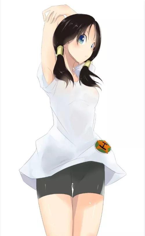 Videl pits. by Aggravating_Extreme8