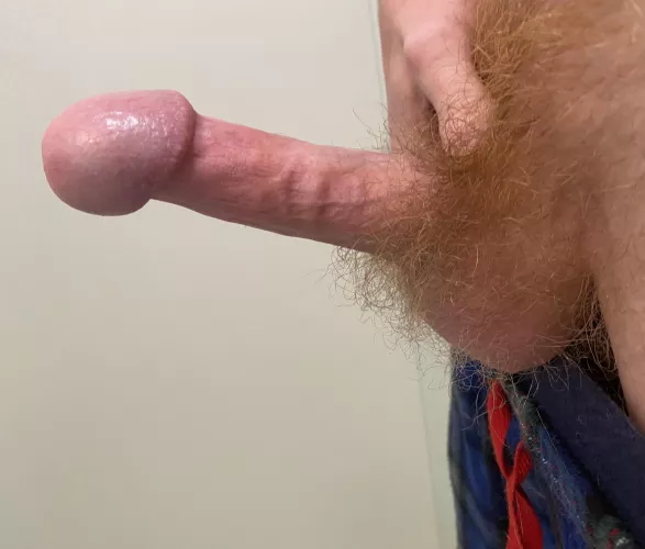 Does a red bush look good around my cock? by hunghoncho-101