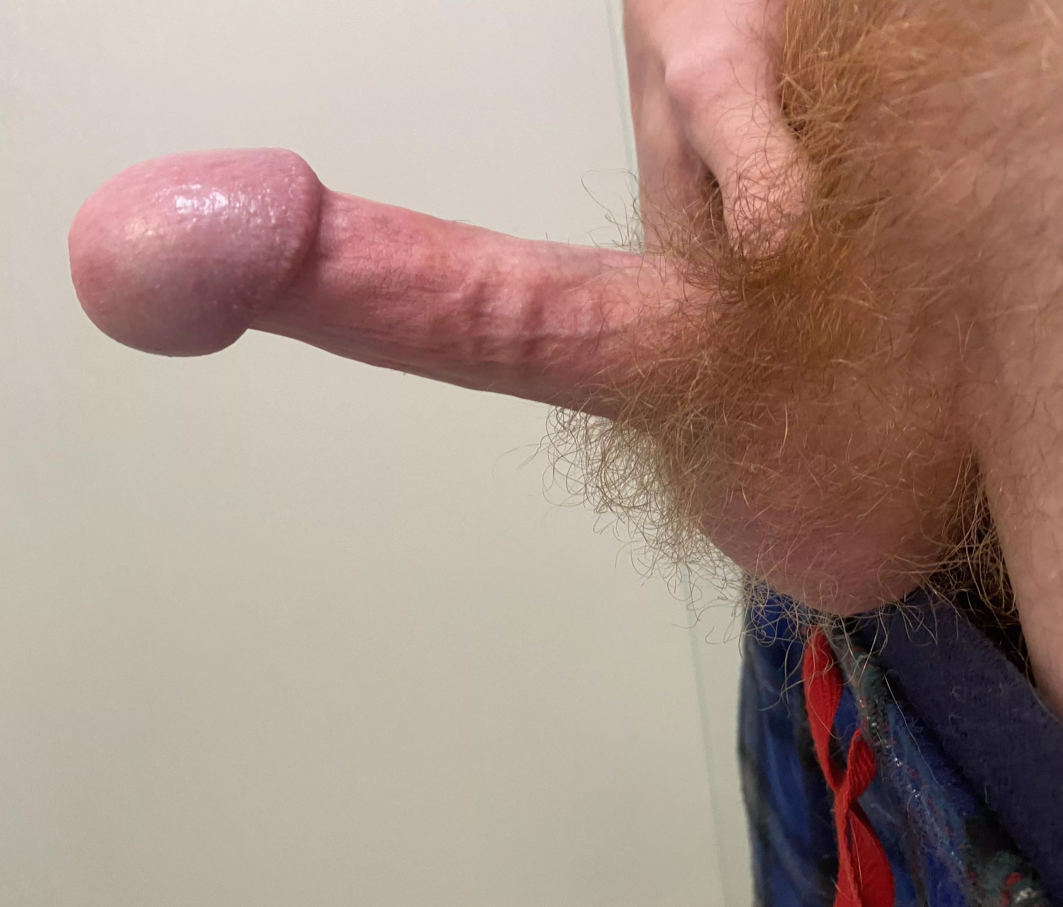 Does a red bush look good around my cock? posted by hunghoncho-101
