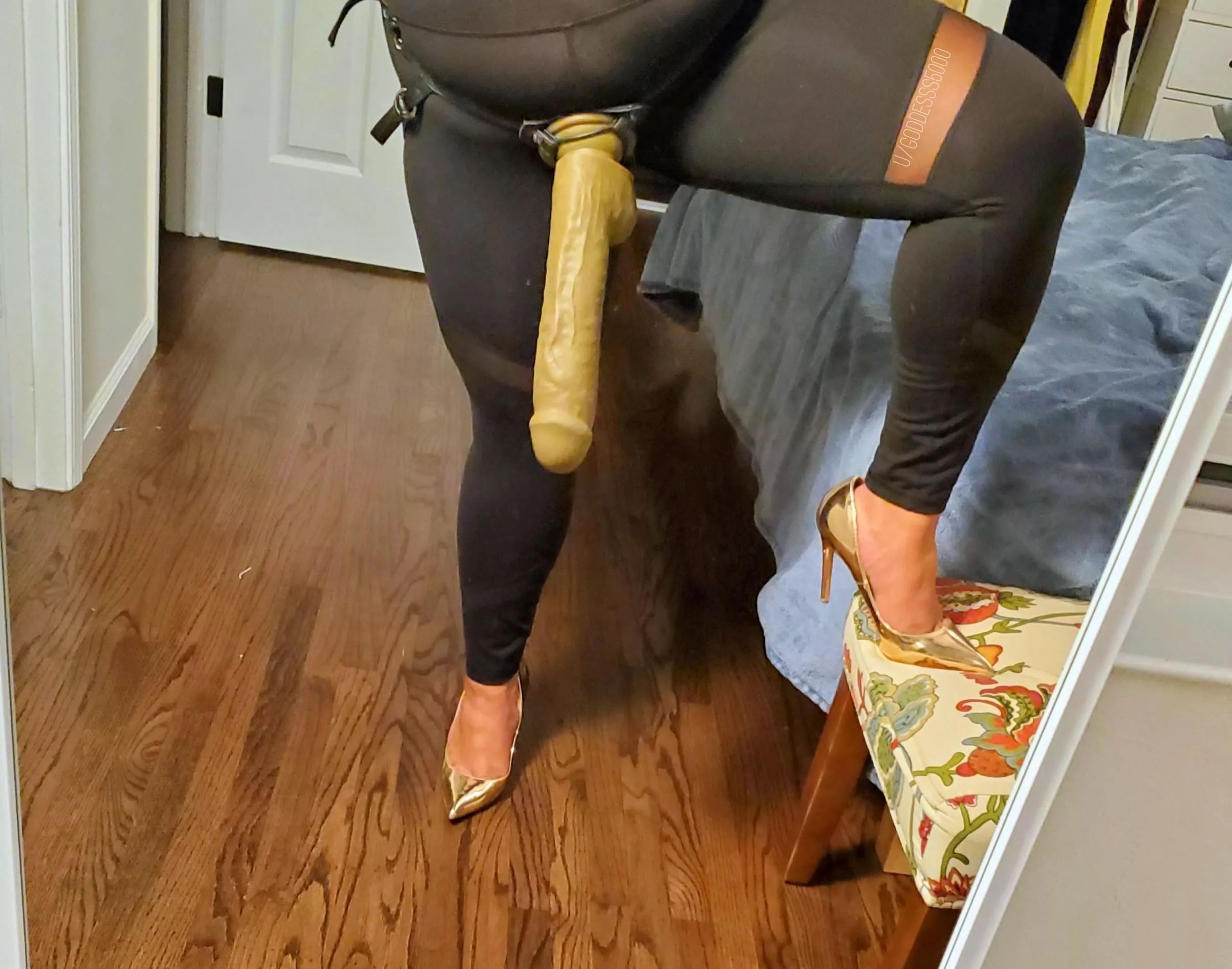 I have a feeling this is the right size for you! 😈 posted by Goddesss5000