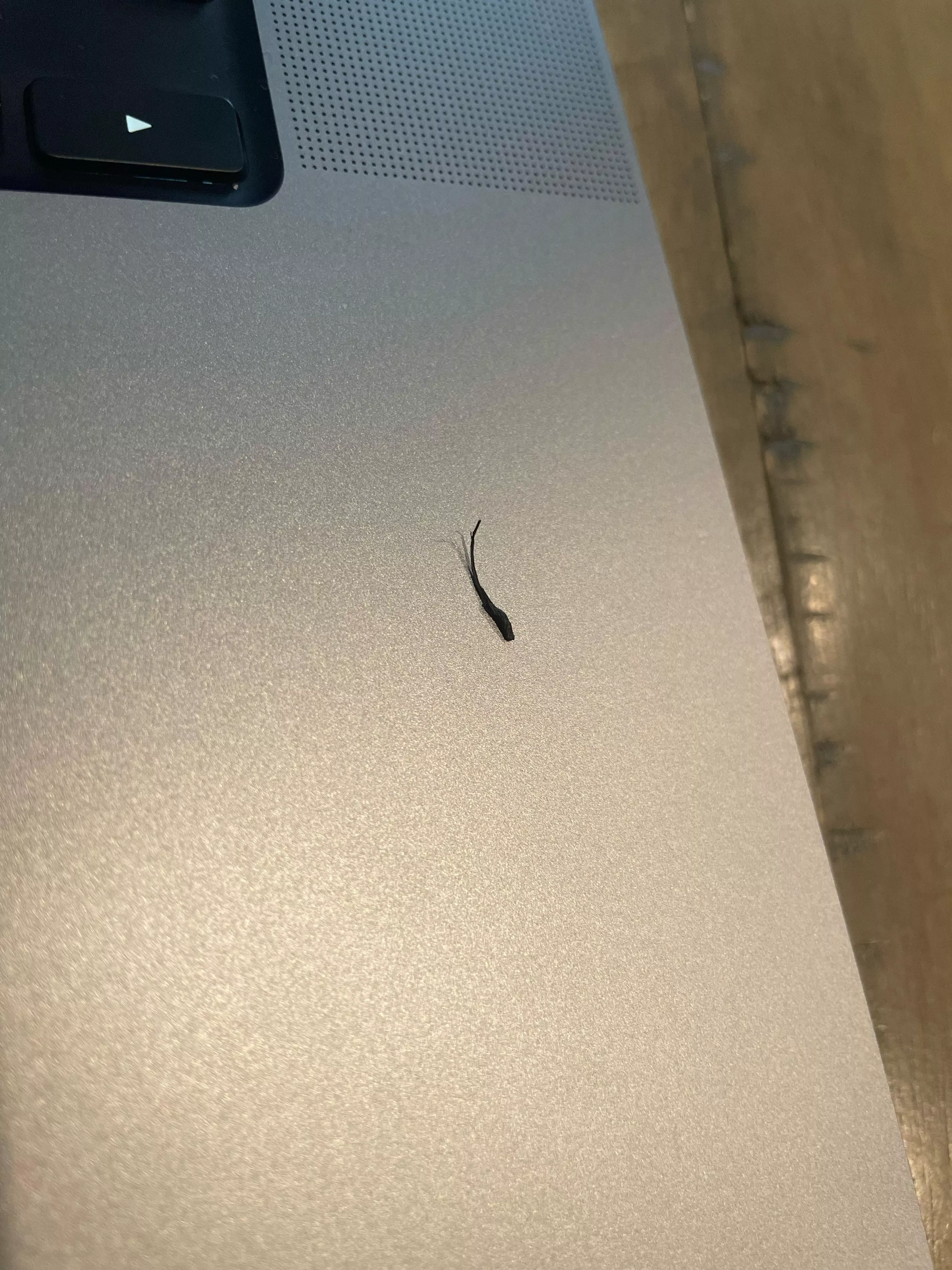 Pulled this bad boy off my beard this morning. posted by PHATSACK