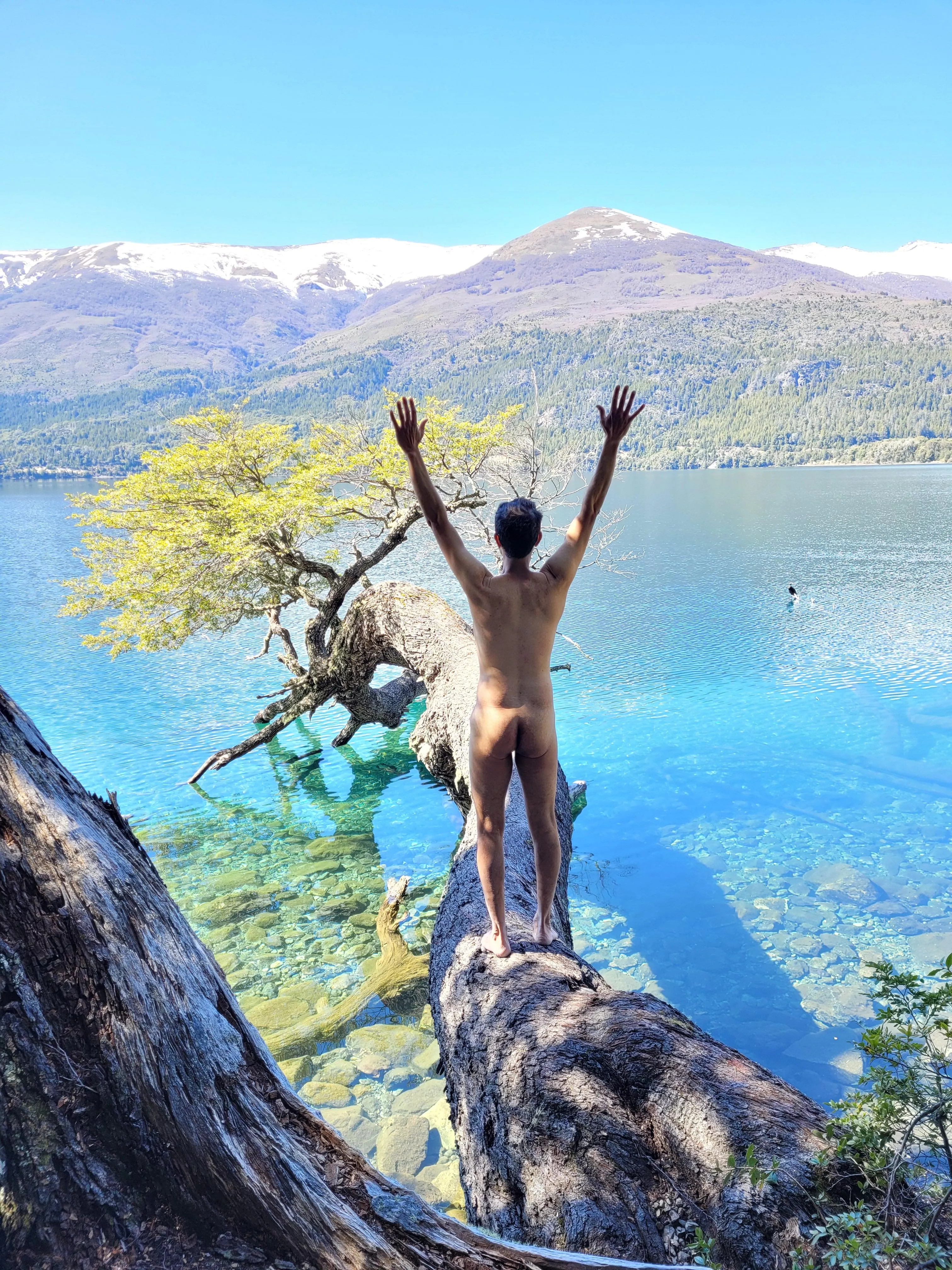 Pure bliss in nature posted by LivingFree2019