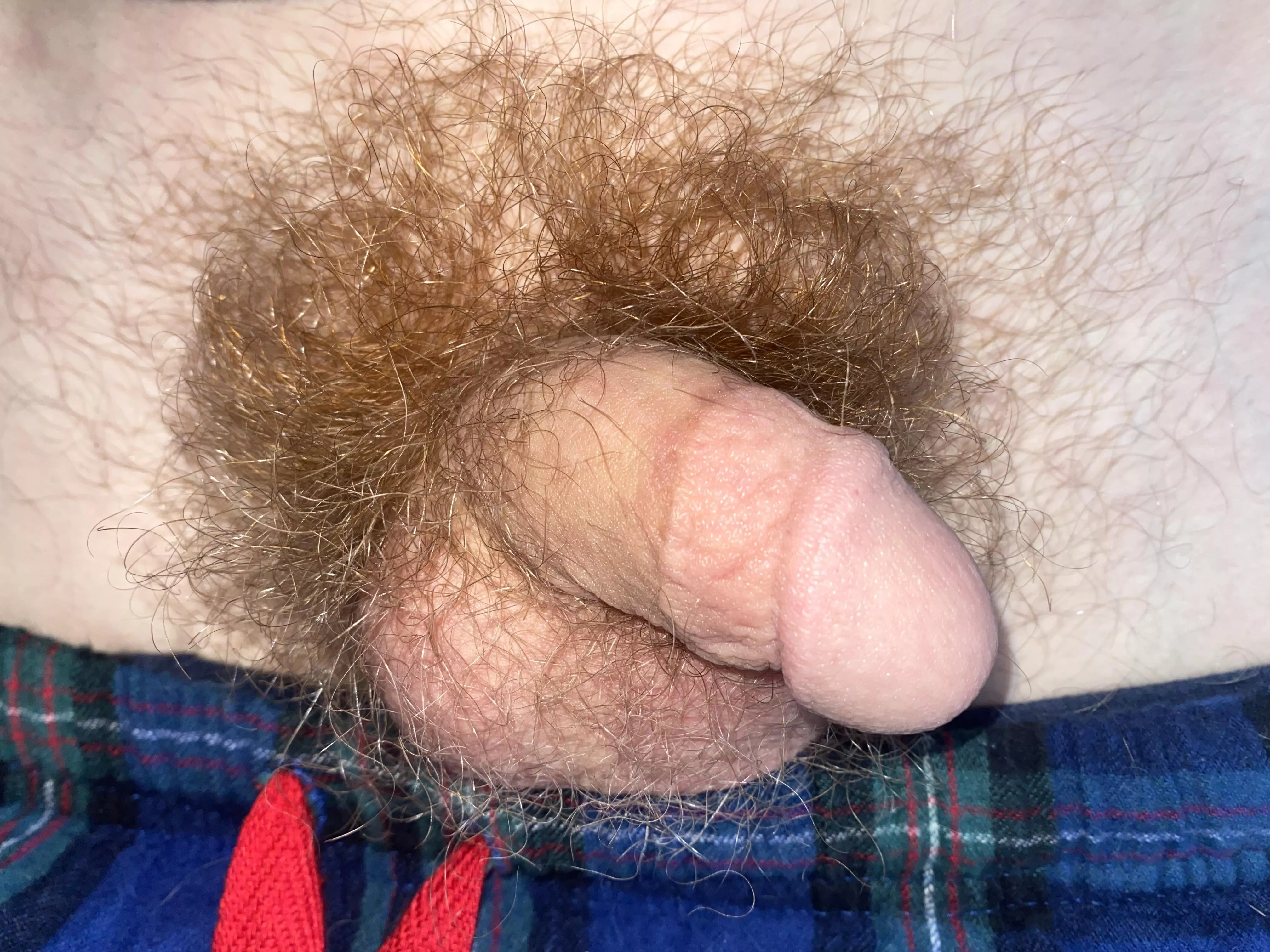 Wanna get cozy with me? posted by hunghoncho-101
