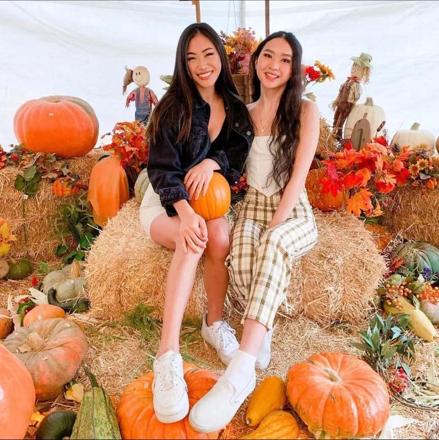 Whose pumpkin would you smash? posted by angizni
