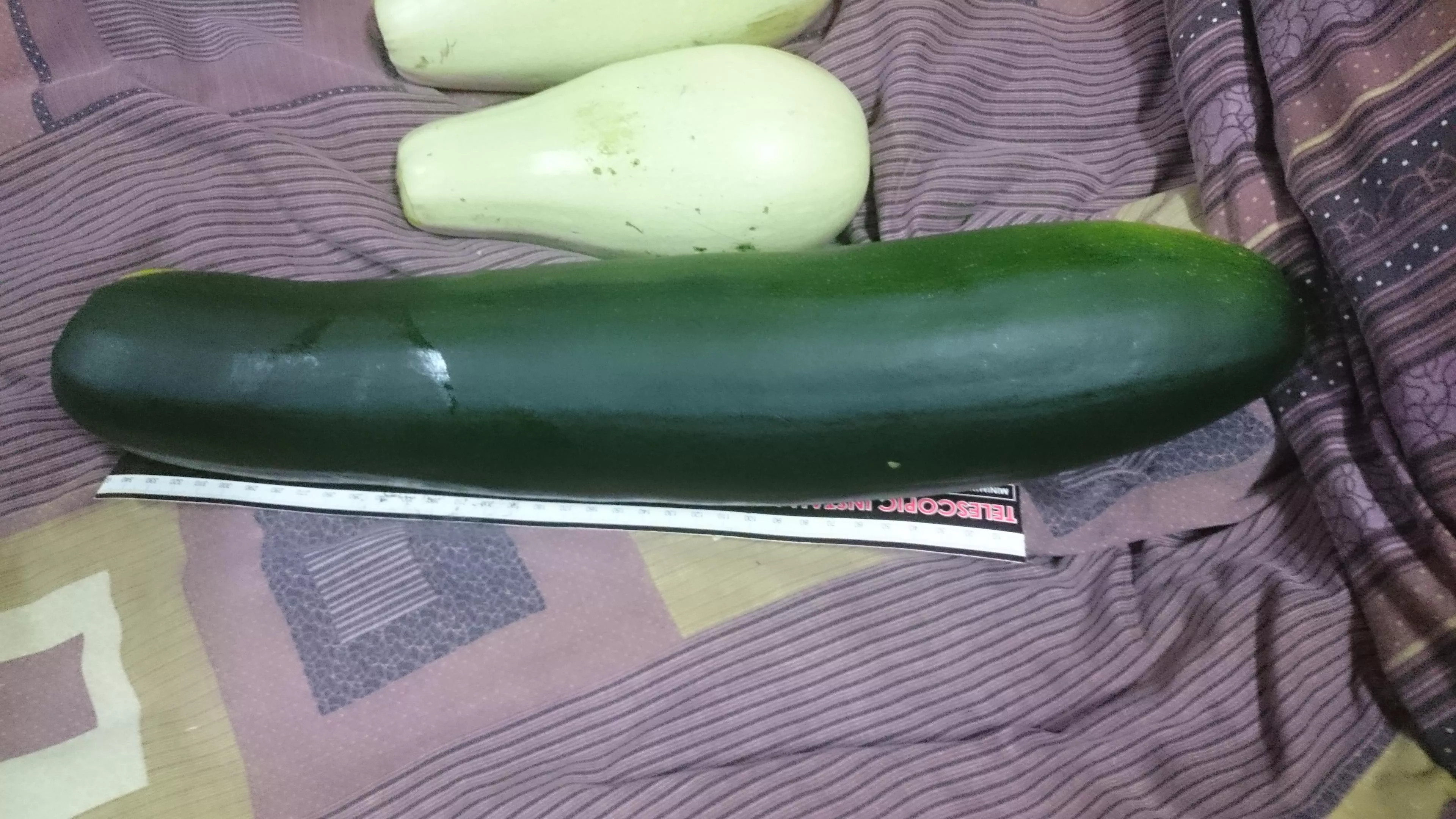 32cm circumference x 40cm long huge zucchini for my ass posted by Naive_Hedgehog_1493