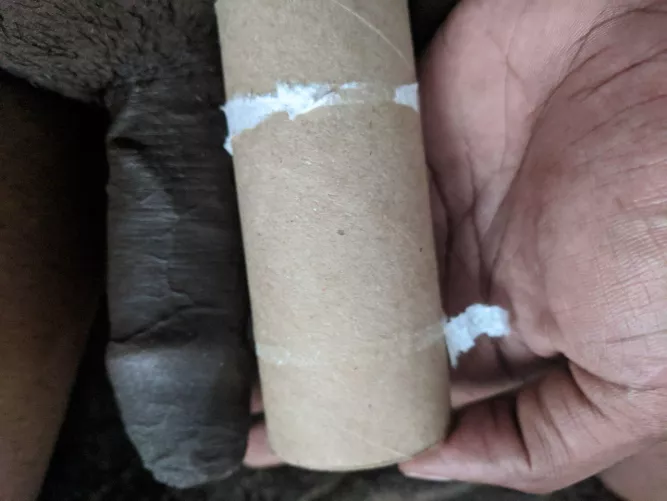 Anyone compare with sissy by foxibellts