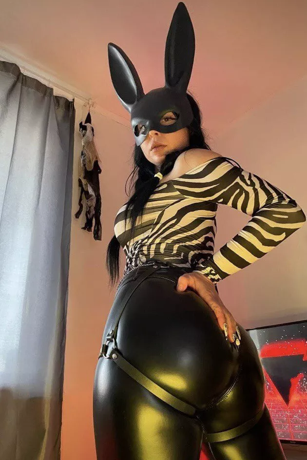 Bad bunny posted by XenaLucky