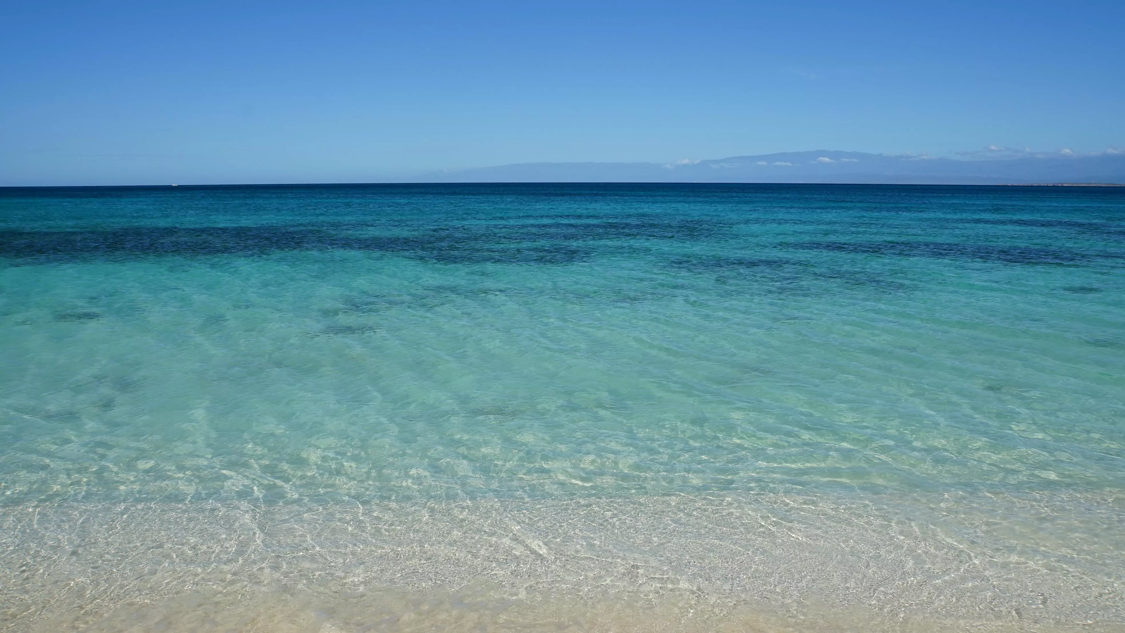 Bahia de las Aguilas, Dominican Republic posted by essenundreisen
