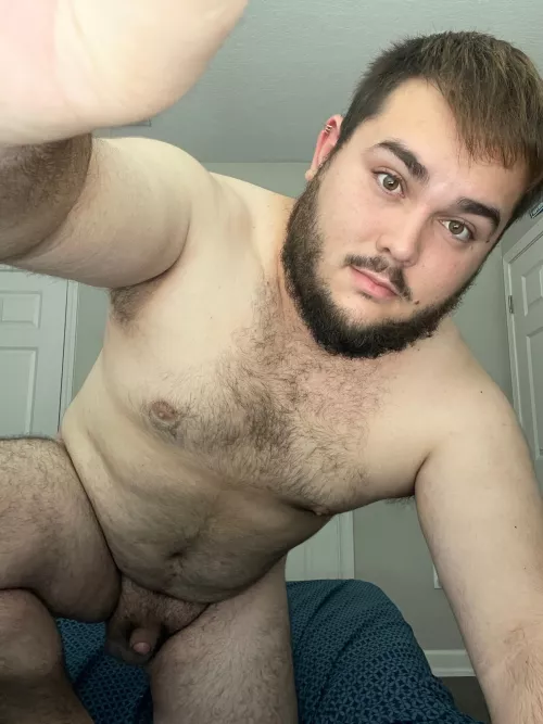 bi cub goes wild on camera by jccubb