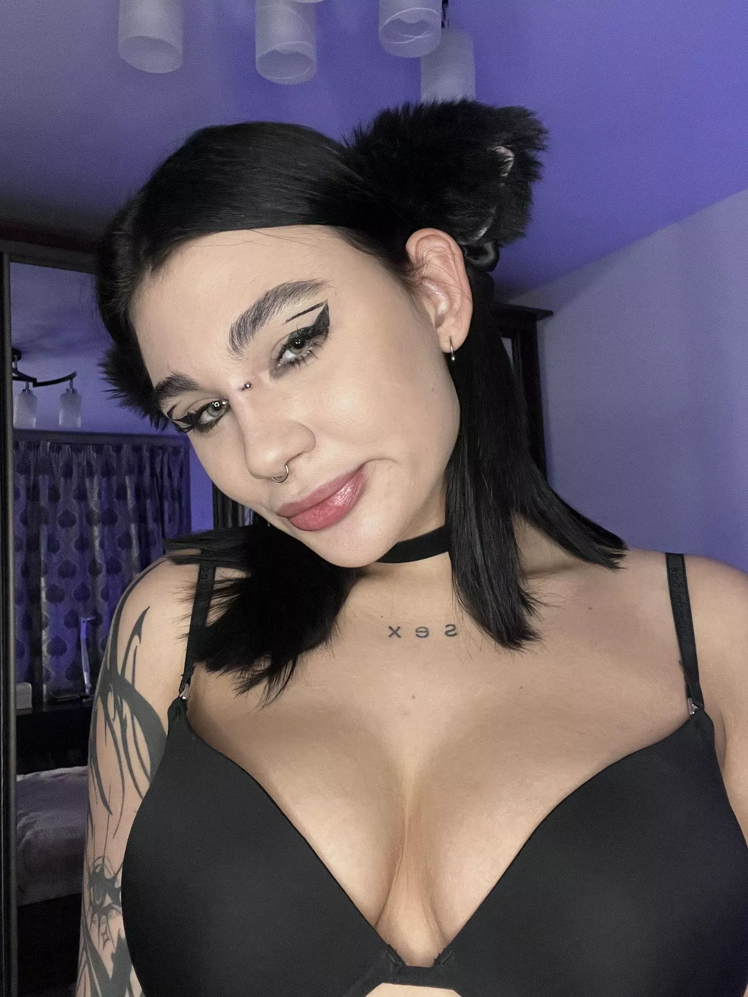 Can you adopt this black kitty? posted by stacypear