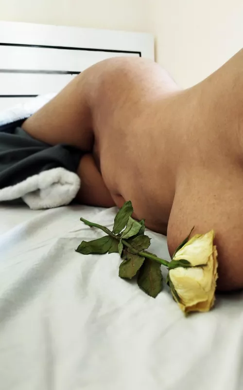 Confidence is Key (F) by boobierider