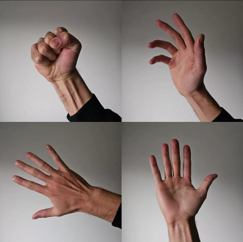 Do Not Bite The Hand Which Feeds You posted by LumpySpacePants