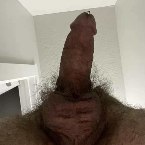 Drip drip by Turbulent_Version_65