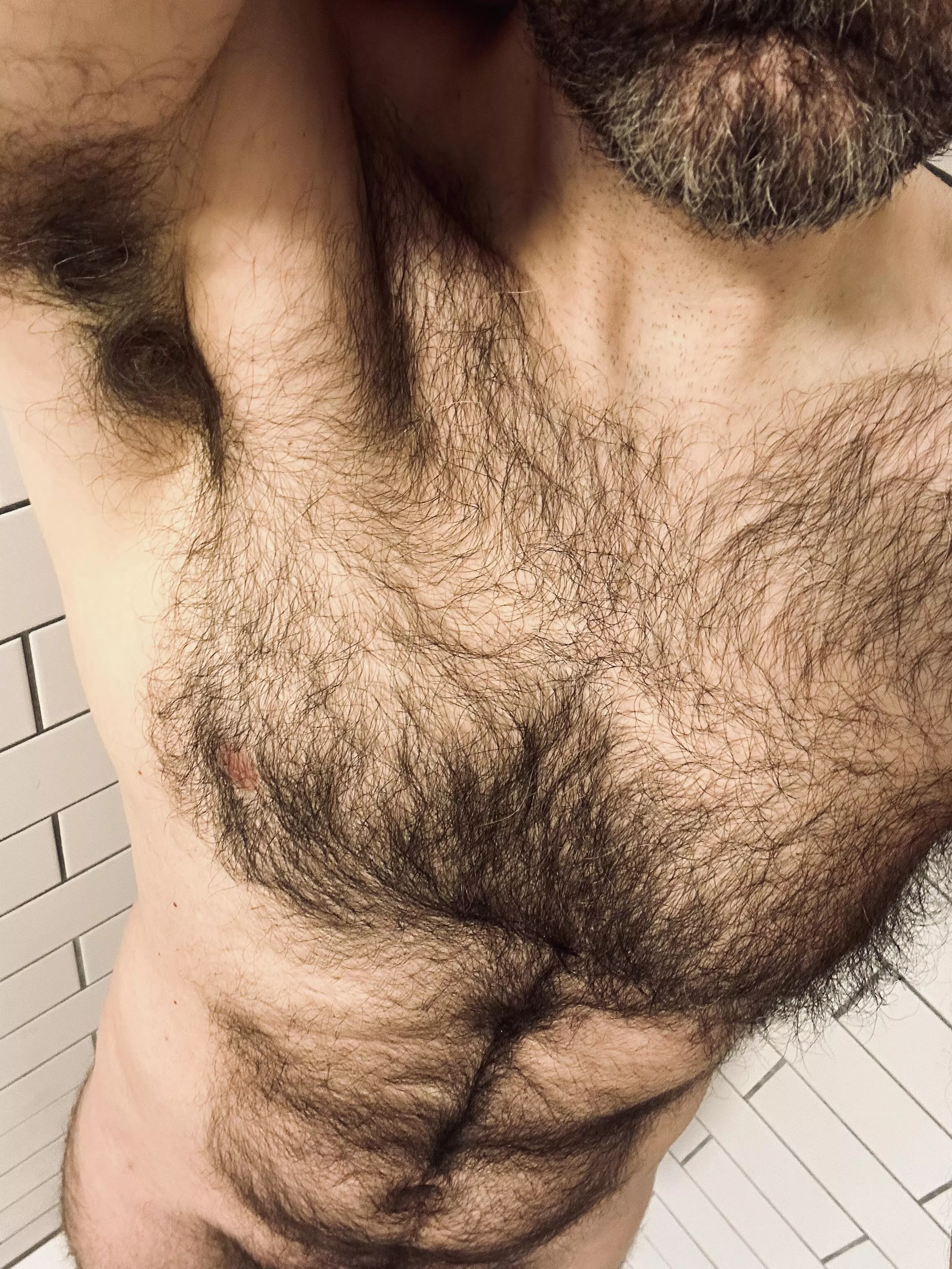 hairy pre-shower pits & tits posted by jerseyjaxoff