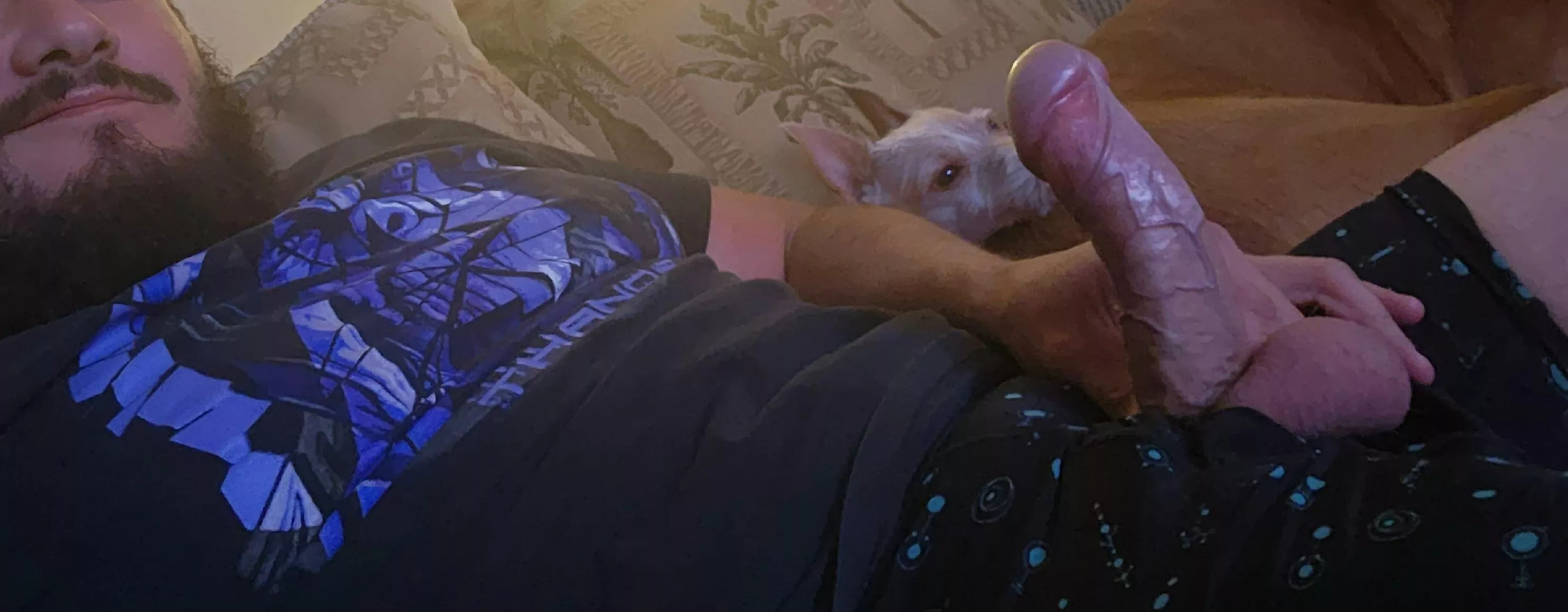 Just a dude and his dogs posted by thebigcheese50