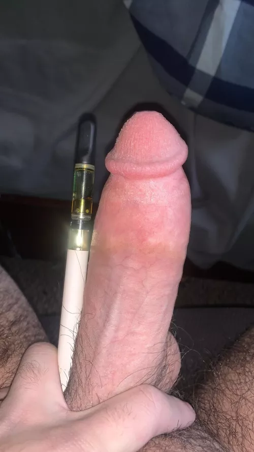 msg me to compare by Dangerous_Painter469