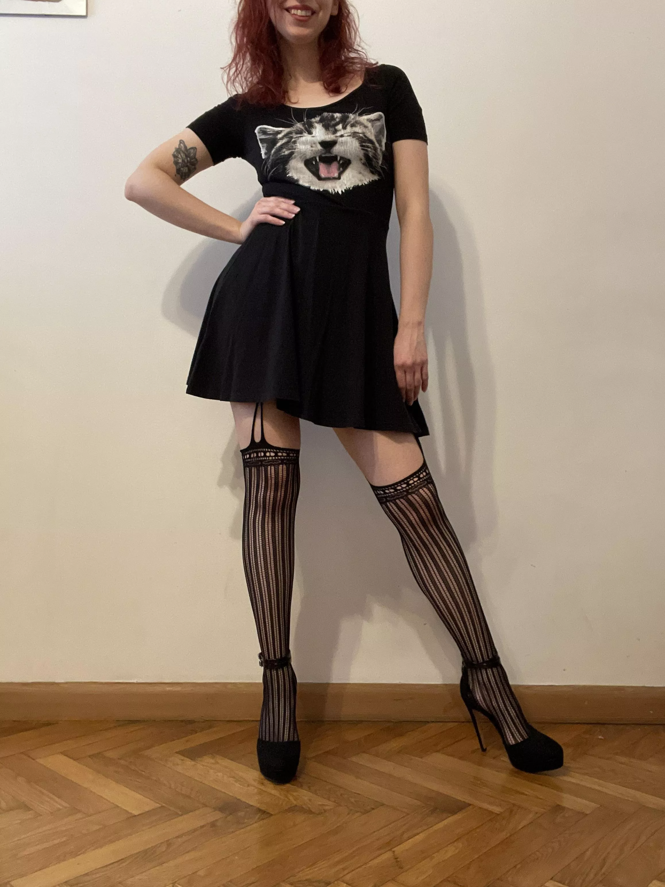 There are two kitties in the pic. One of them really likes being rubbed and kisses hehe (@dellasweets) [onlyfans] posted by Dellasweets