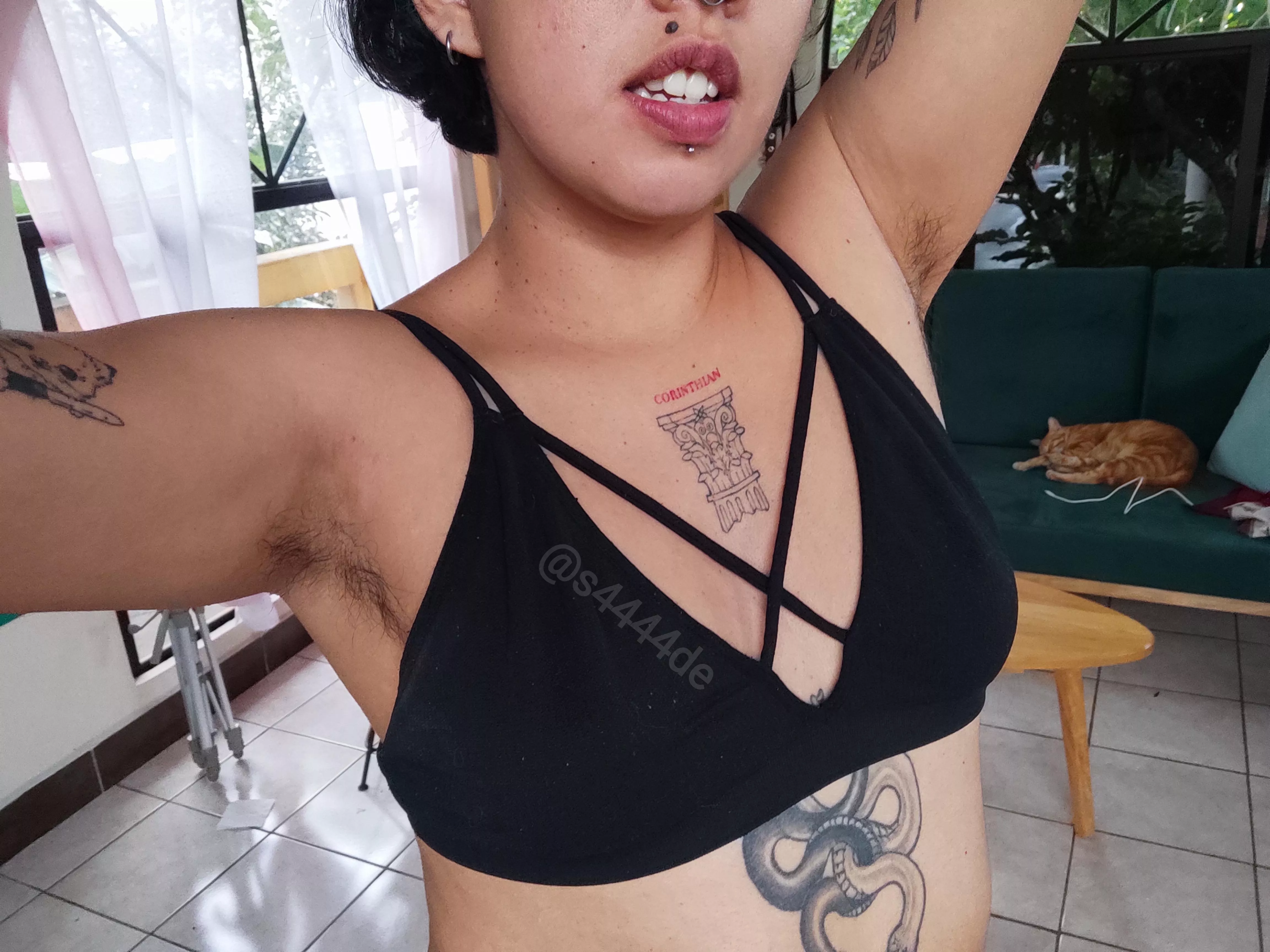 we love fur in this house😹 posted by s4444de