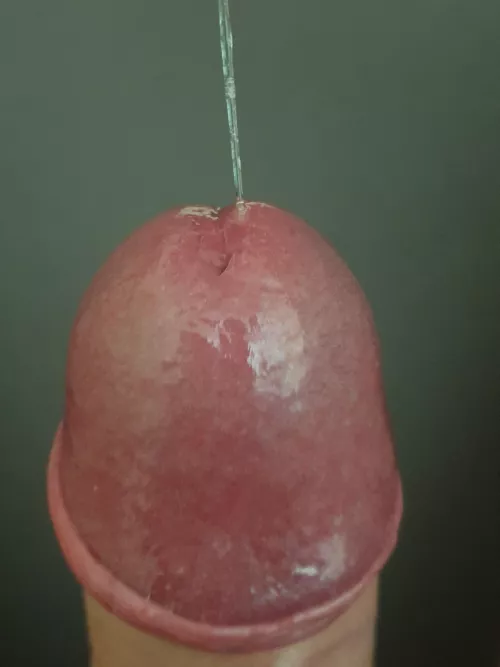 Who wants to play? by phenomen123