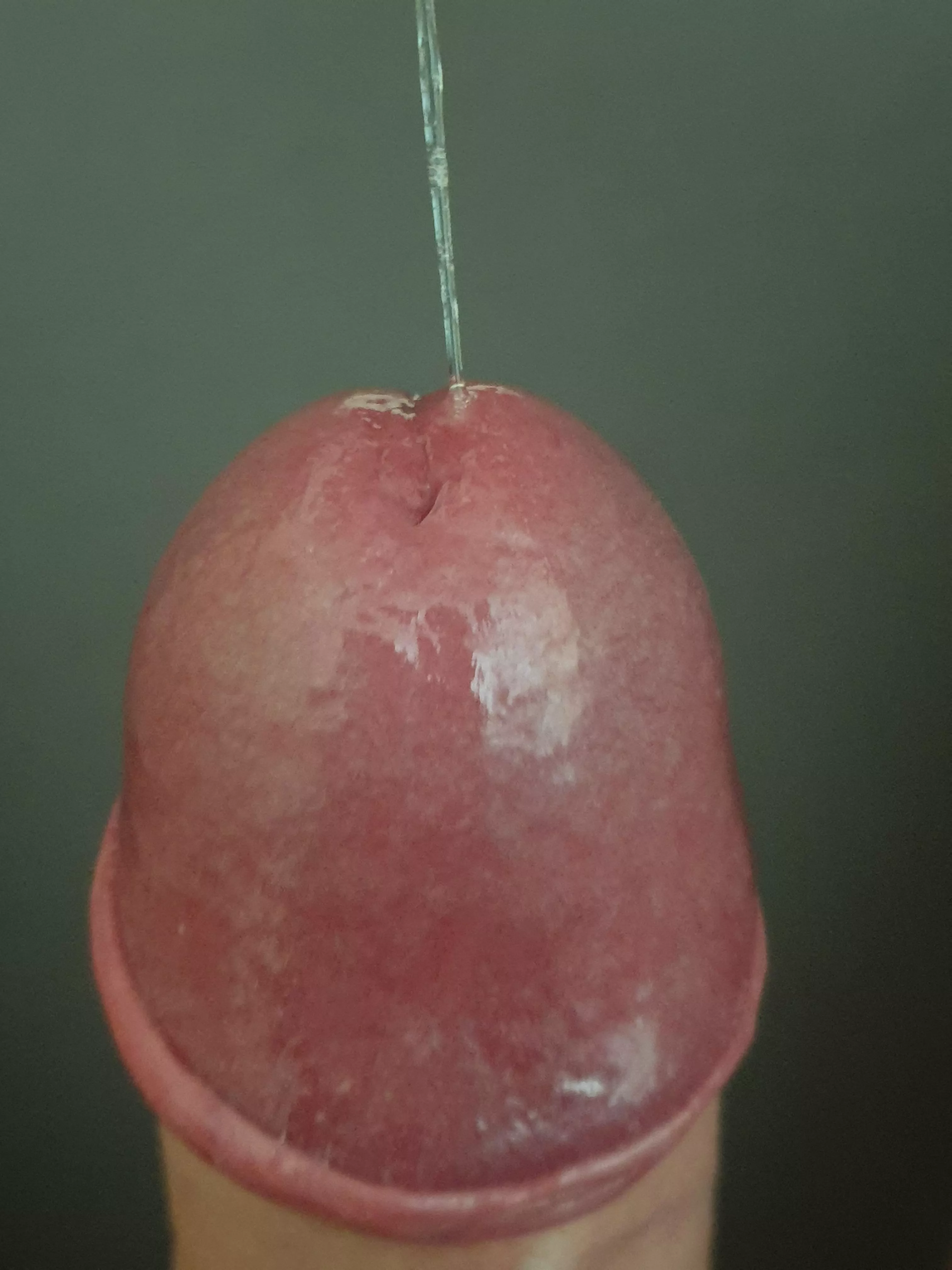 Who wants to play? posted by phenomen123