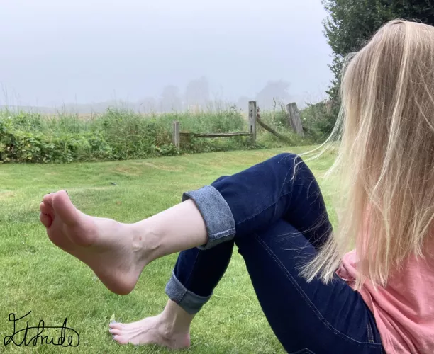 Would you stop to get a better look? by Elfrida77