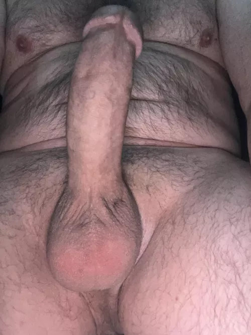 (52)Daddy needs a good fuck toy to breed. by Public-Age-4800