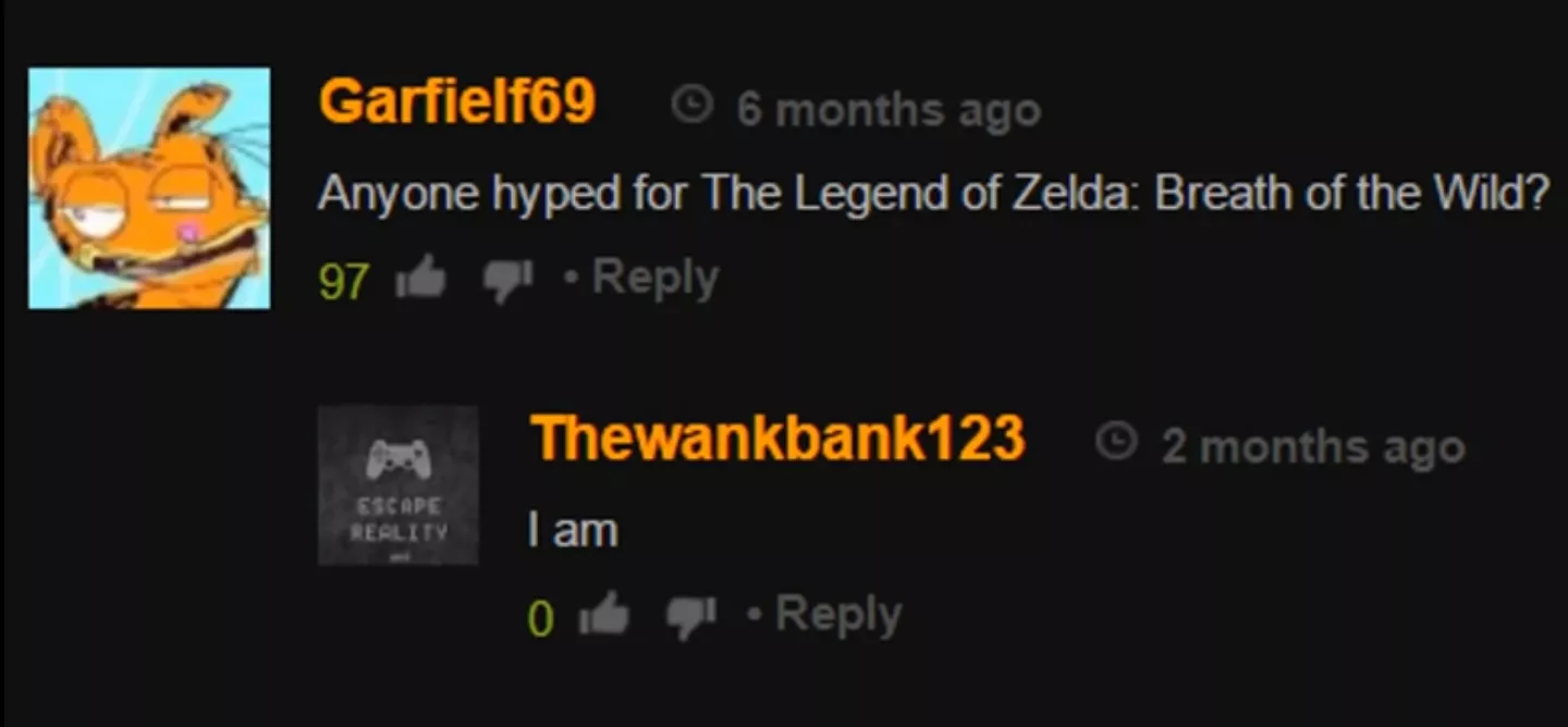 Are y'all hyped for the Legend of Zelda Brrath of the Wild ? posted by POGO_BOY38