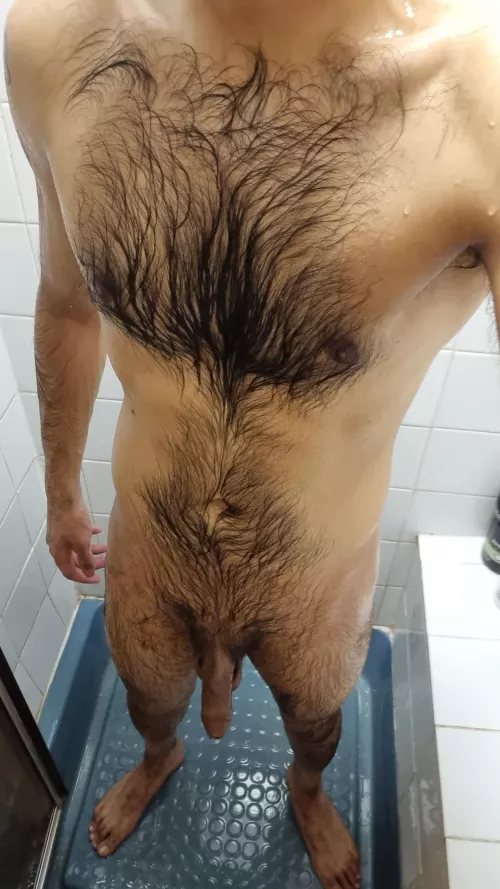 British Indian from the Midlands.... by Altruistic_Fox_