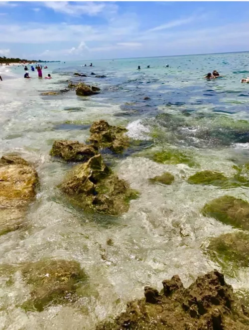 Caspersen Beach in Venice, Florida🌞🌞 by Cougar-Delight