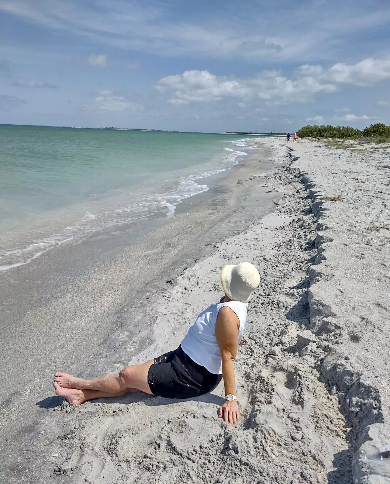 Cayo Costa Island. Gulf Coast, Florida.🌞 posted by Cougar-Delight