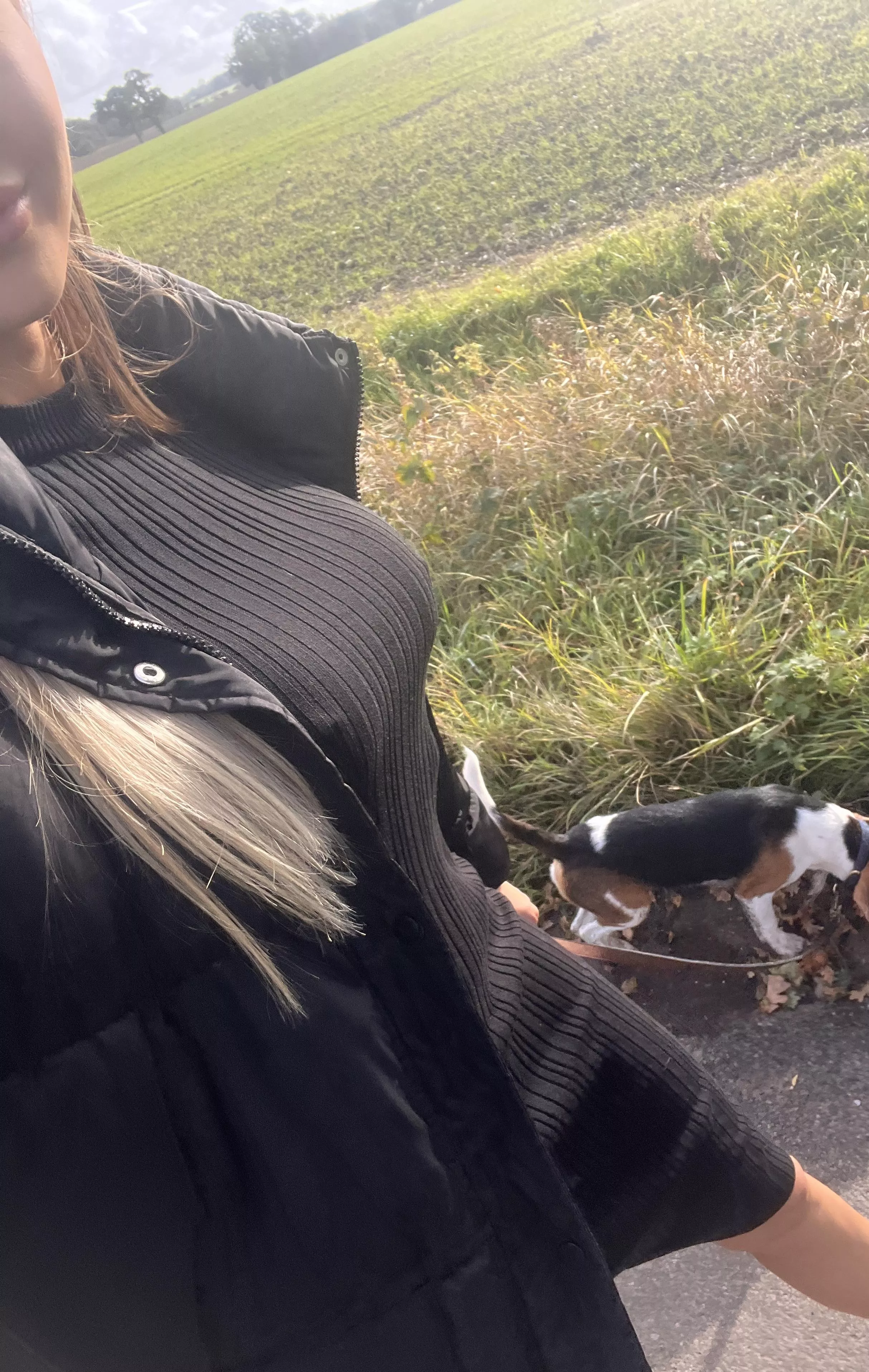 cute beagle & nice views ❤️ posted by Annabellemcallister