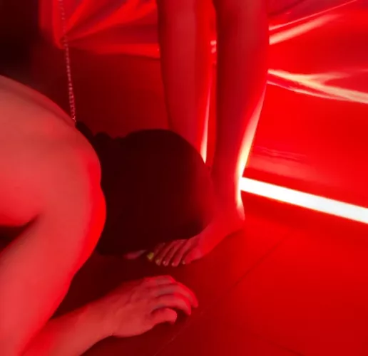 Every dog’s place. by evafirefoxx