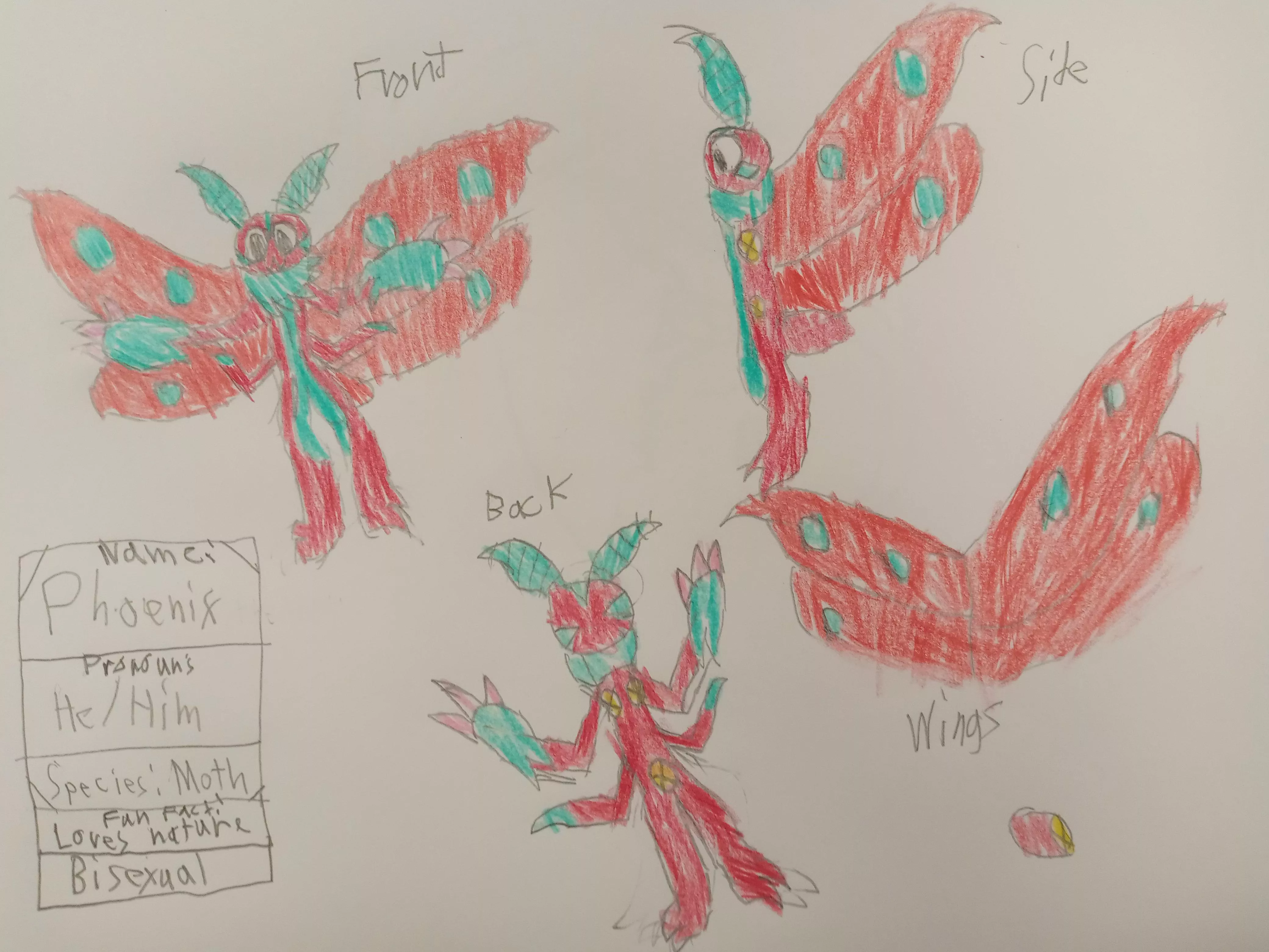 Heres my fursona, his name is Phoenix and he is a moth posted by Jakedadrake