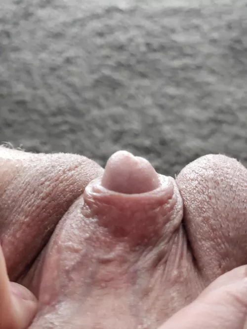 Hood a little veint tonight by musclemummy69