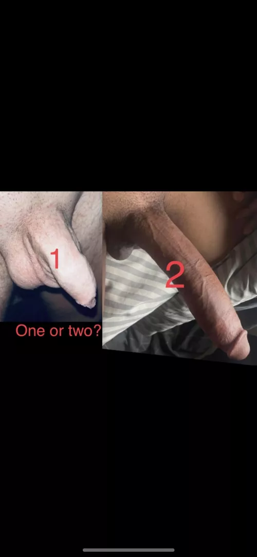 Left or right? by FamiliarMuffin4657