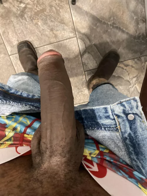 Let it hang this morning by CoyoteSignificant657