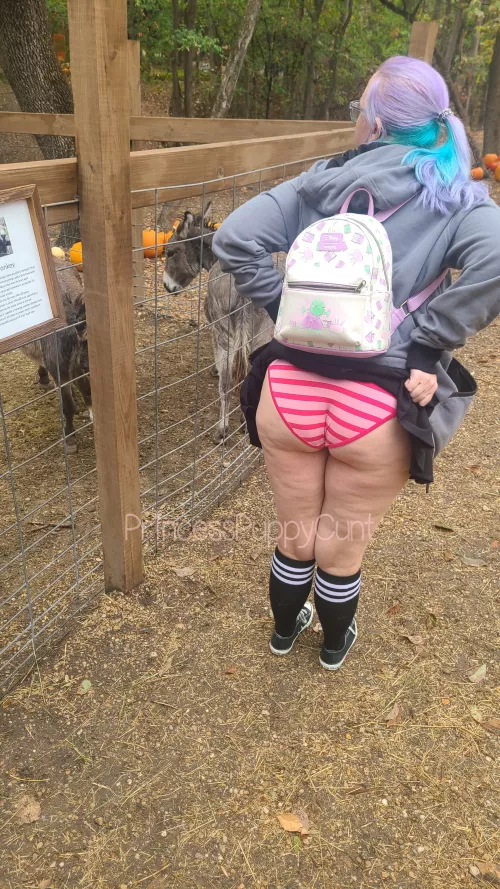 No not that ass, MY ass 🤭 by PrincessPuppyCunt