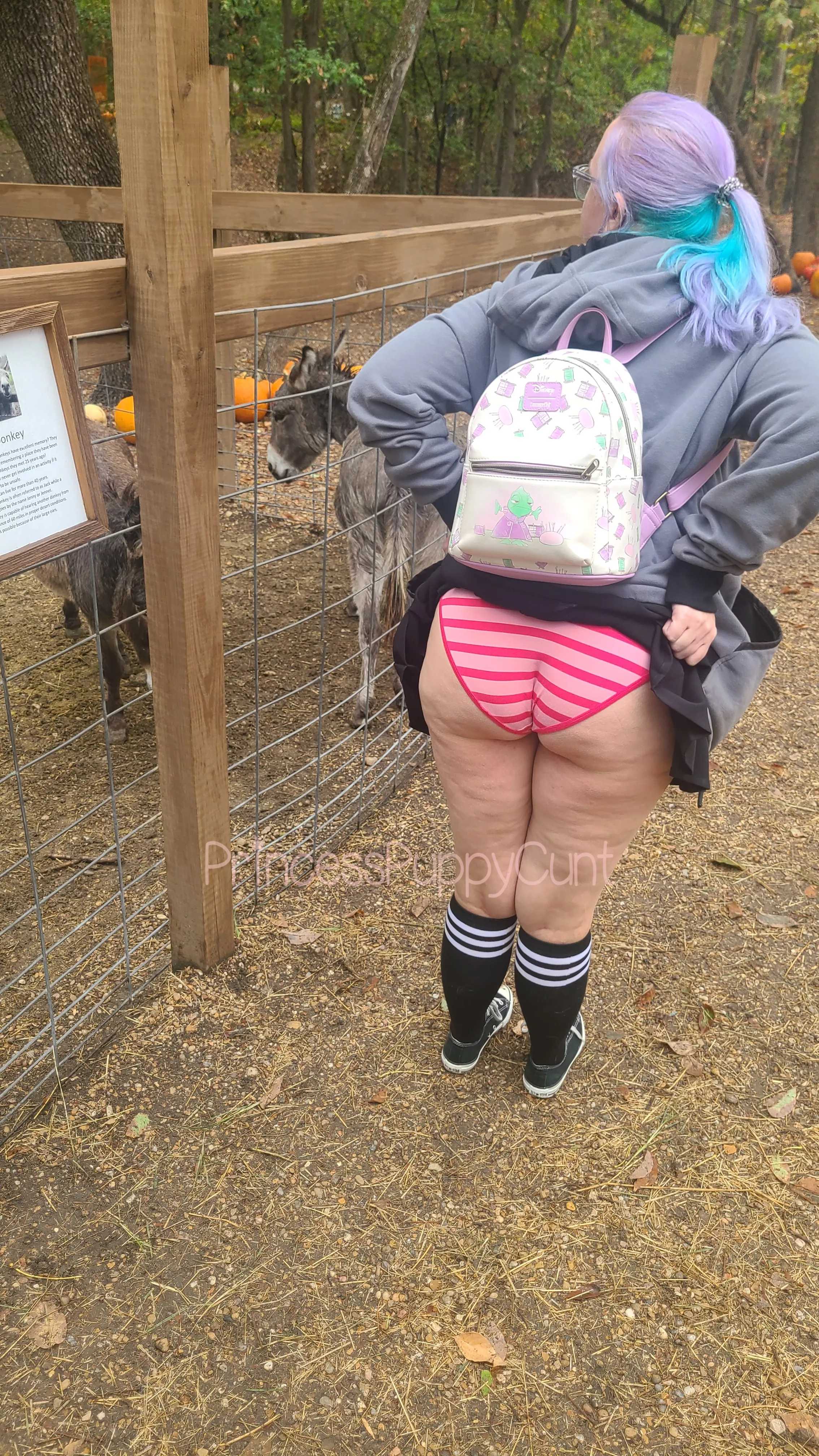 No not that ass, MY ass 🤭 posted by PrincessPuppyCunt