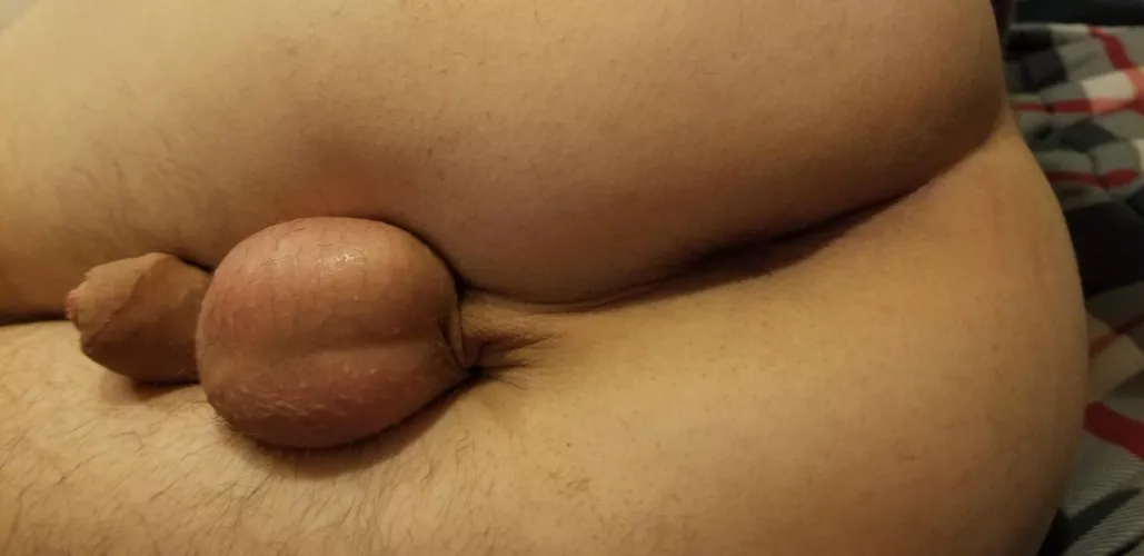 Philadelphia bottom by mtpl00