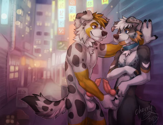 Public Fun (CherryBox) by DL2828