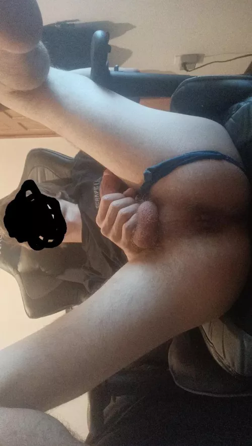 What would you do first by wilystingray975