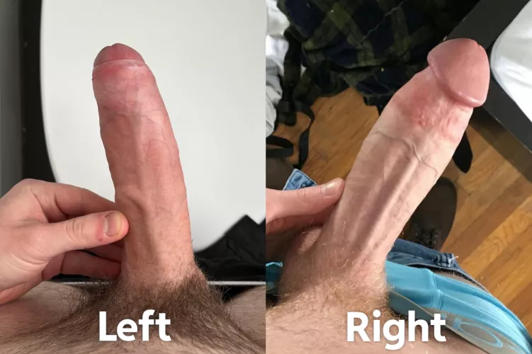 Which cock are you choosing? Left or Right by Middle-Detective4950