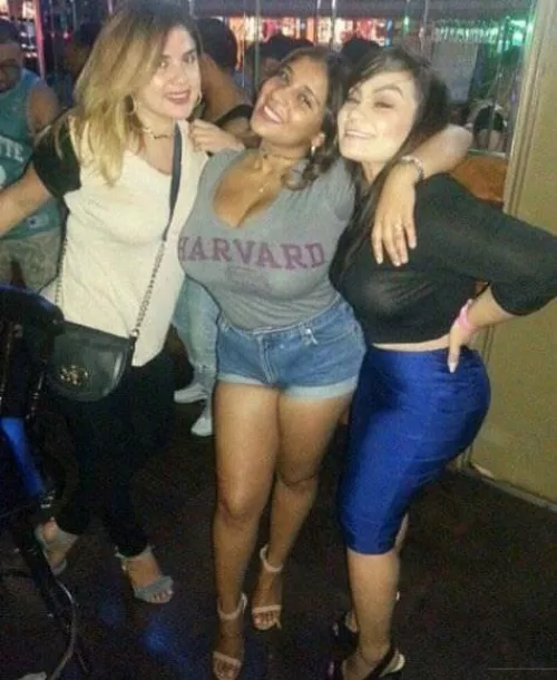 Harvard girls have big brains 😏 by DadbodConfidential