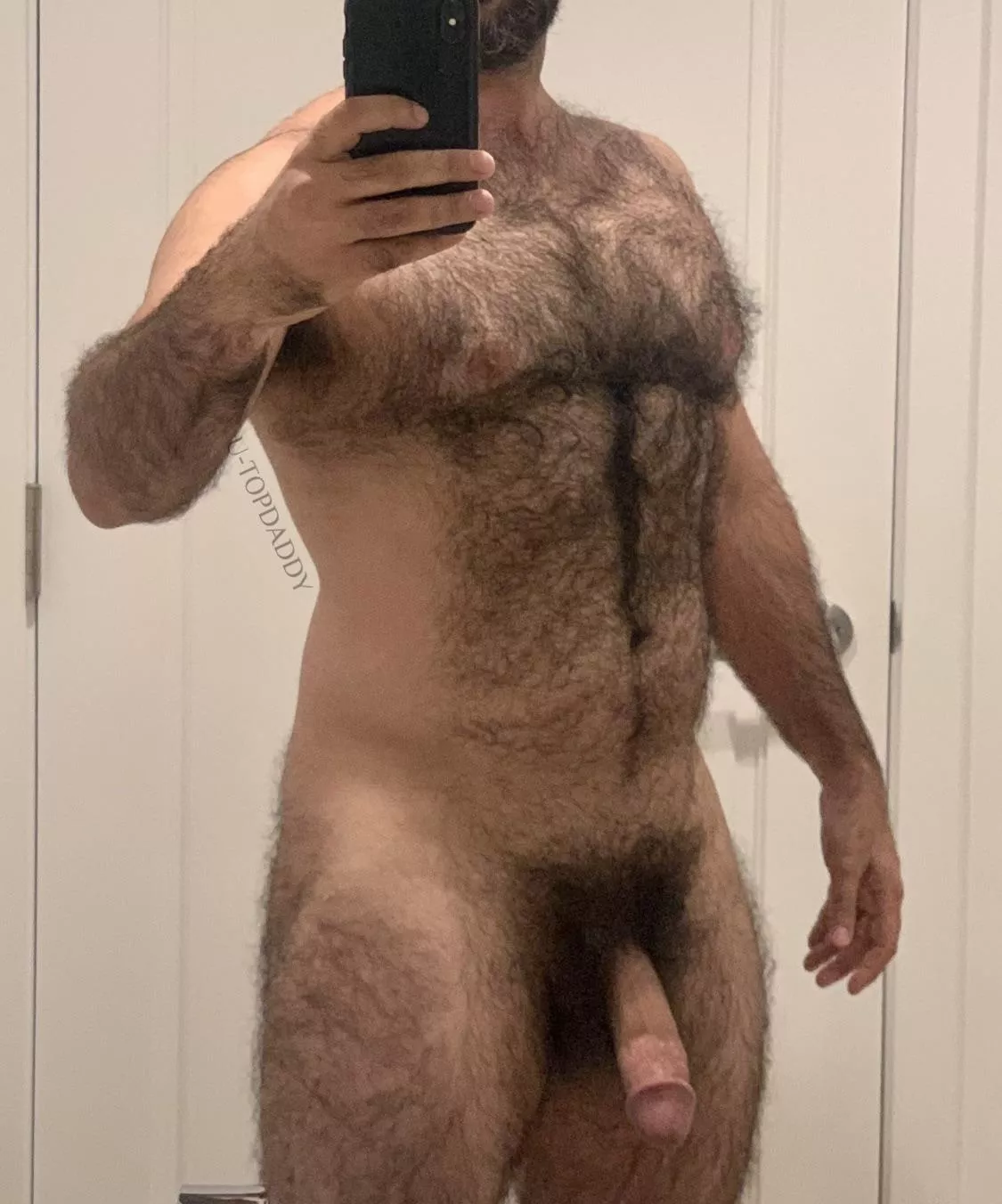 Who likes a hairy dad? posted by -TOPDADDY
