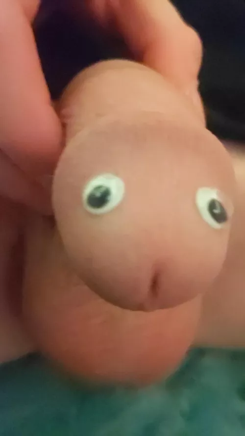 👁️0👁️ by madtrak