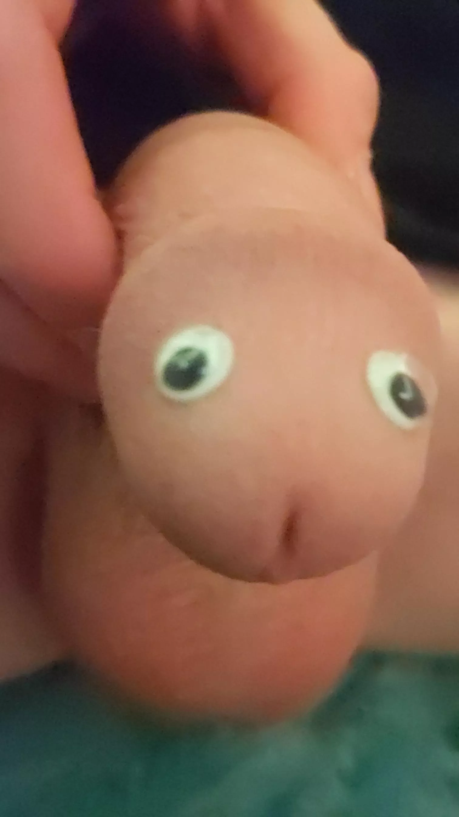 👁️0👁️ posted by madtrak