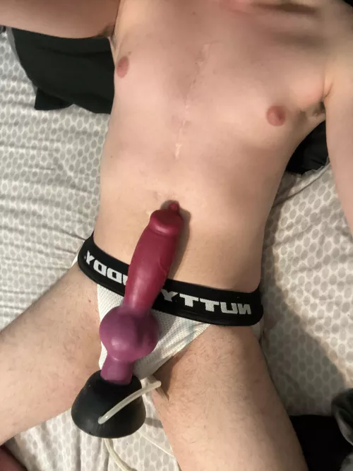 (18) i love my first bd -large rex by tuatiatuna