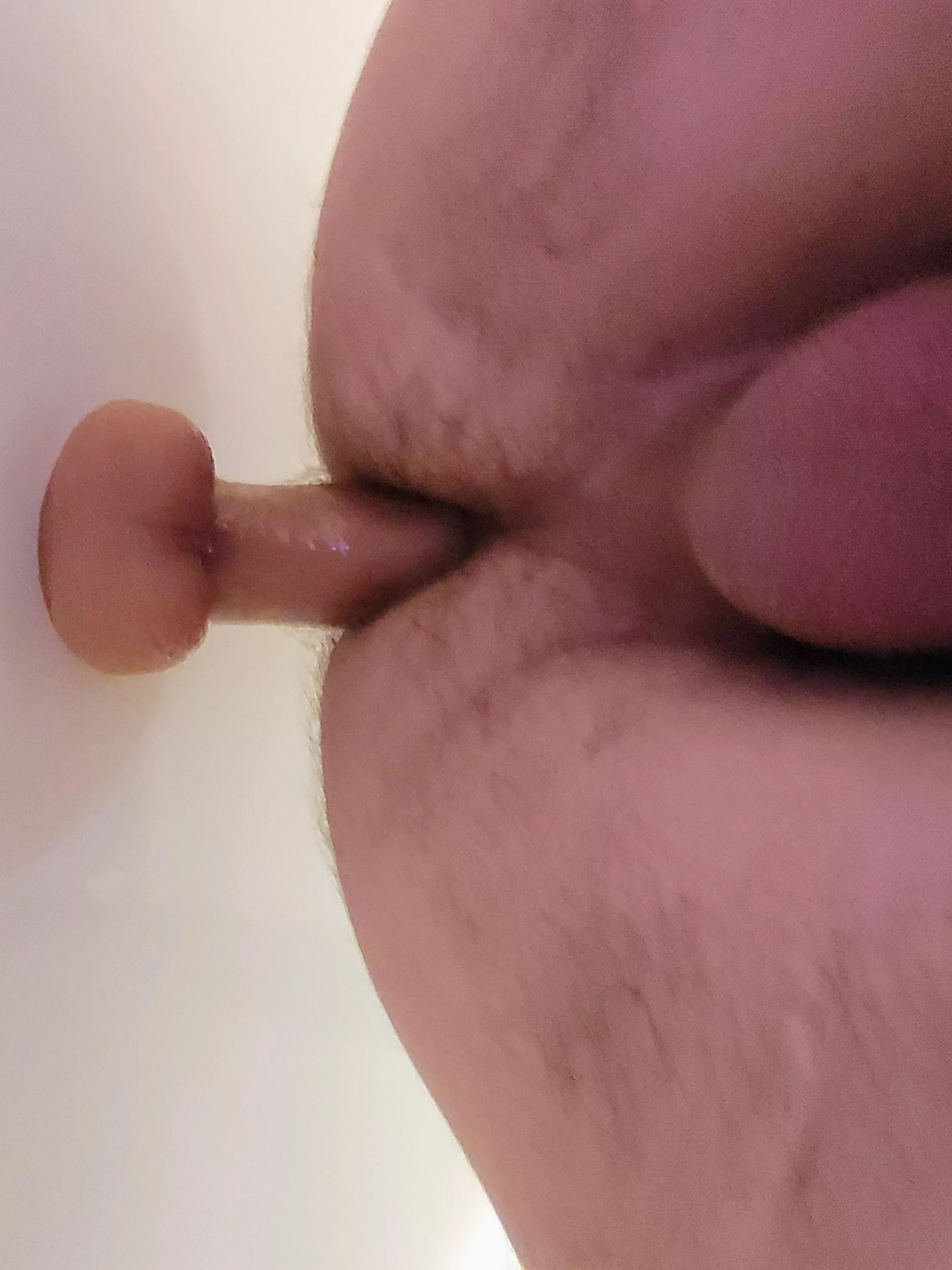 33m straight... But I love this feeling. posted by hifromyourmom