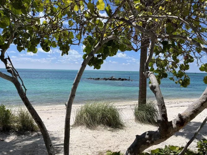 All I want for Christmas by Impossible_Pumpkin16